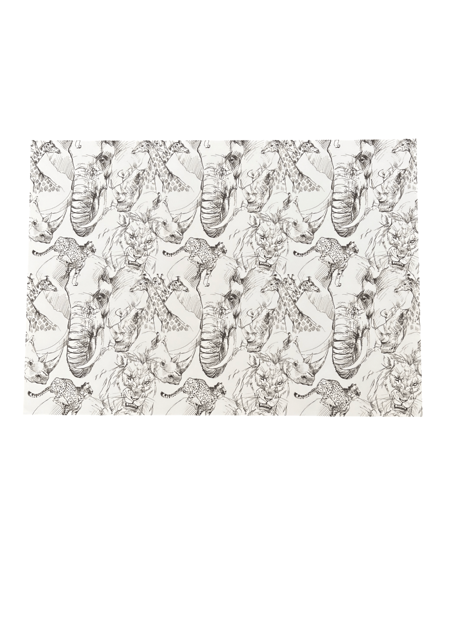 Disposable Placemats - Big 5 - The Hideaway