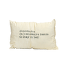 Clinomania Scatter Cushion - The Hideaway