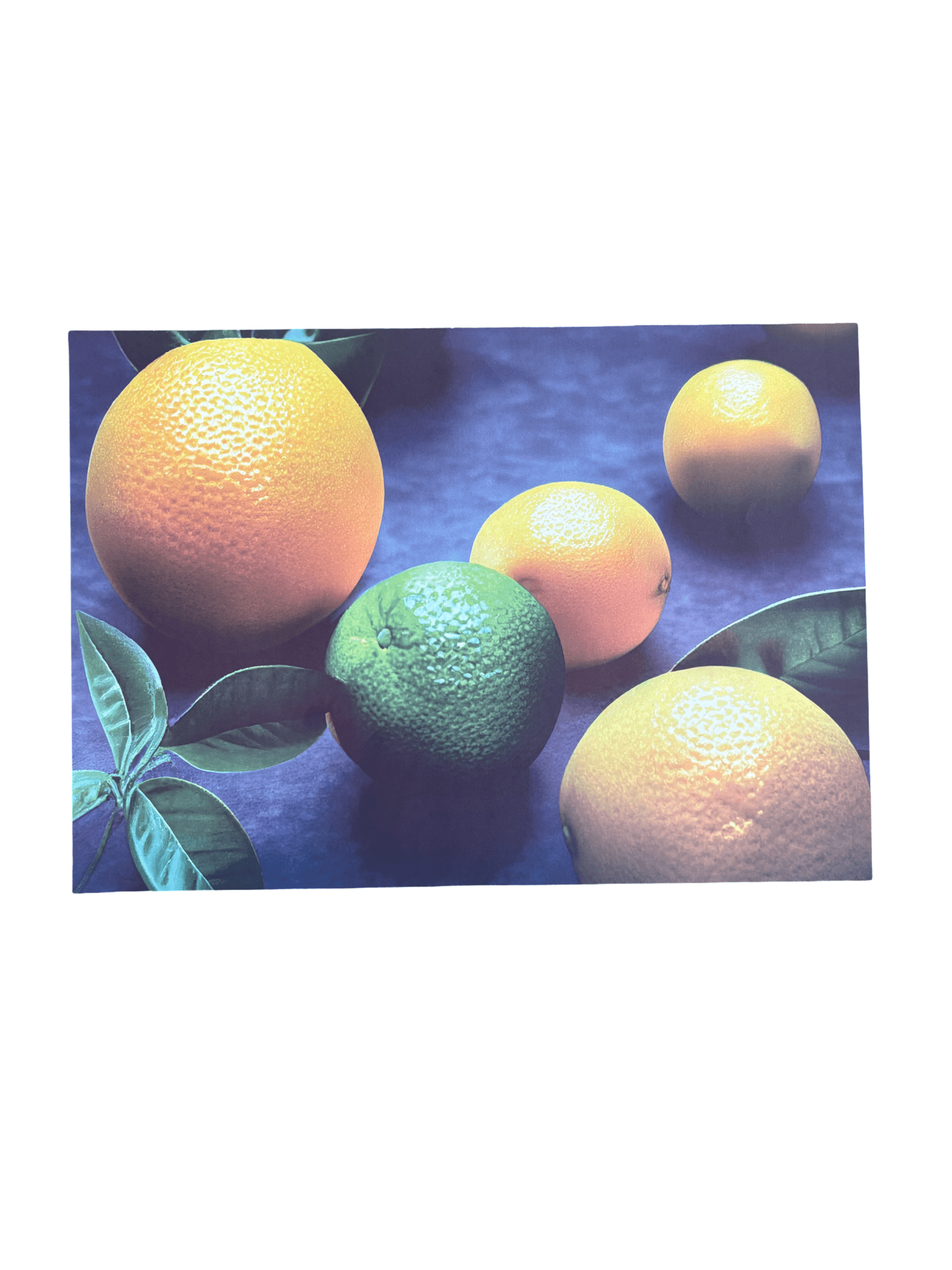 Disposable Placemats - Lemons - The Hideaway