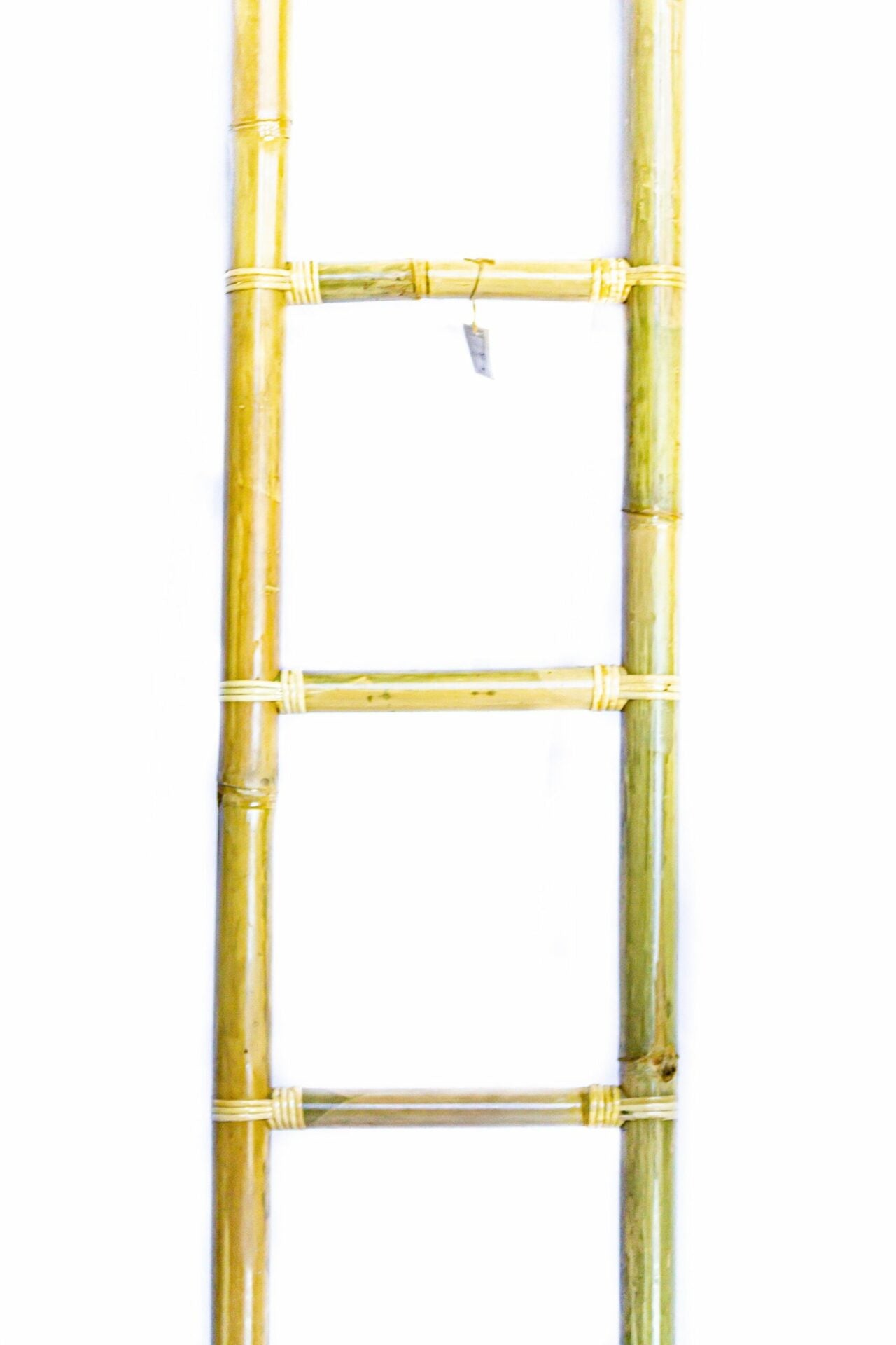 Bamboo Ladder - The Hideaway