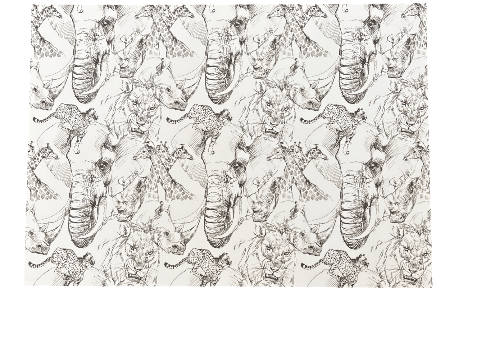 Disposable Placemats - Big 5 - The Hideaway