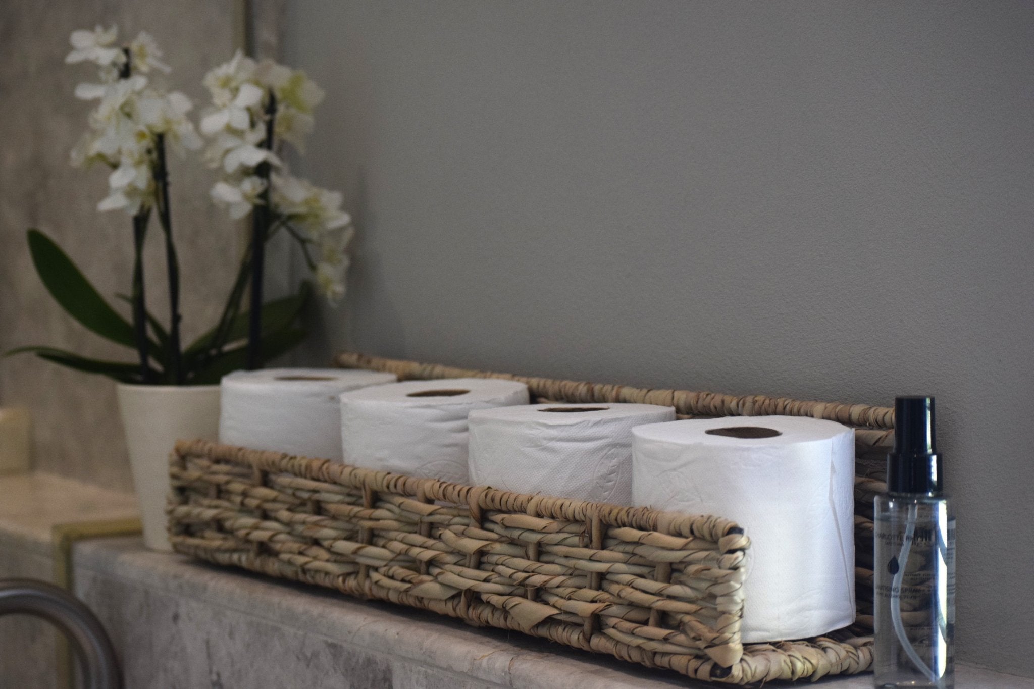 Large Toilet Roll Holder - The Hideaway
