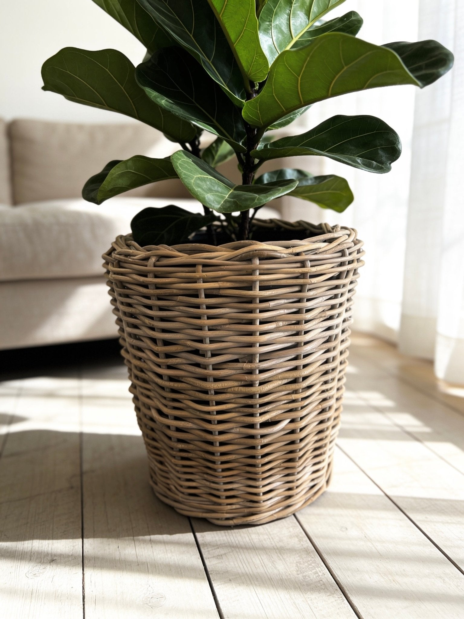 Small Rattan Planter with Lined Inner - The Hideaway