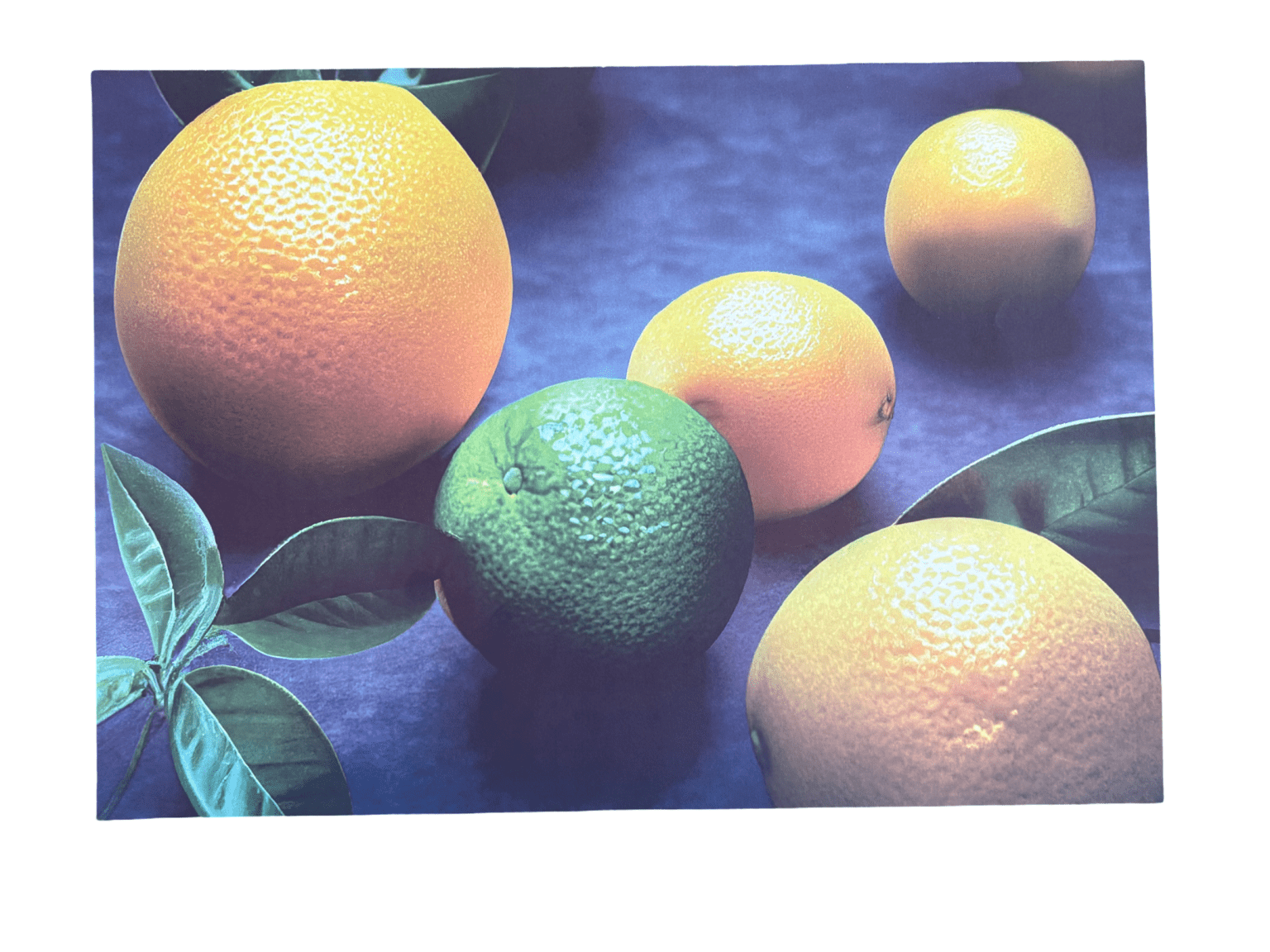 Disposable Placemats - Lemons - The Hideaway