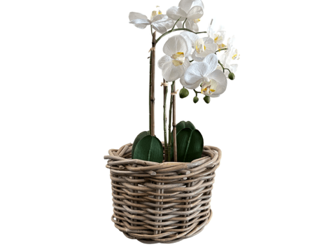 Small Round Rattan Plant Holder - The Hideaway