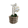 Small Round Rattan Plant Holder - The Hideaway