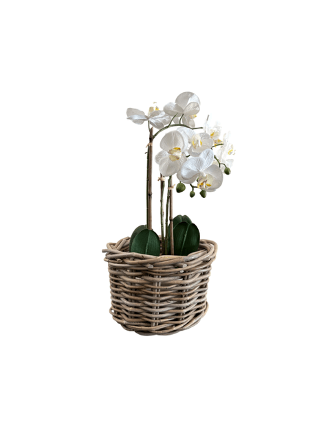 Small Round Rattan Plant Holder - The Hideaway