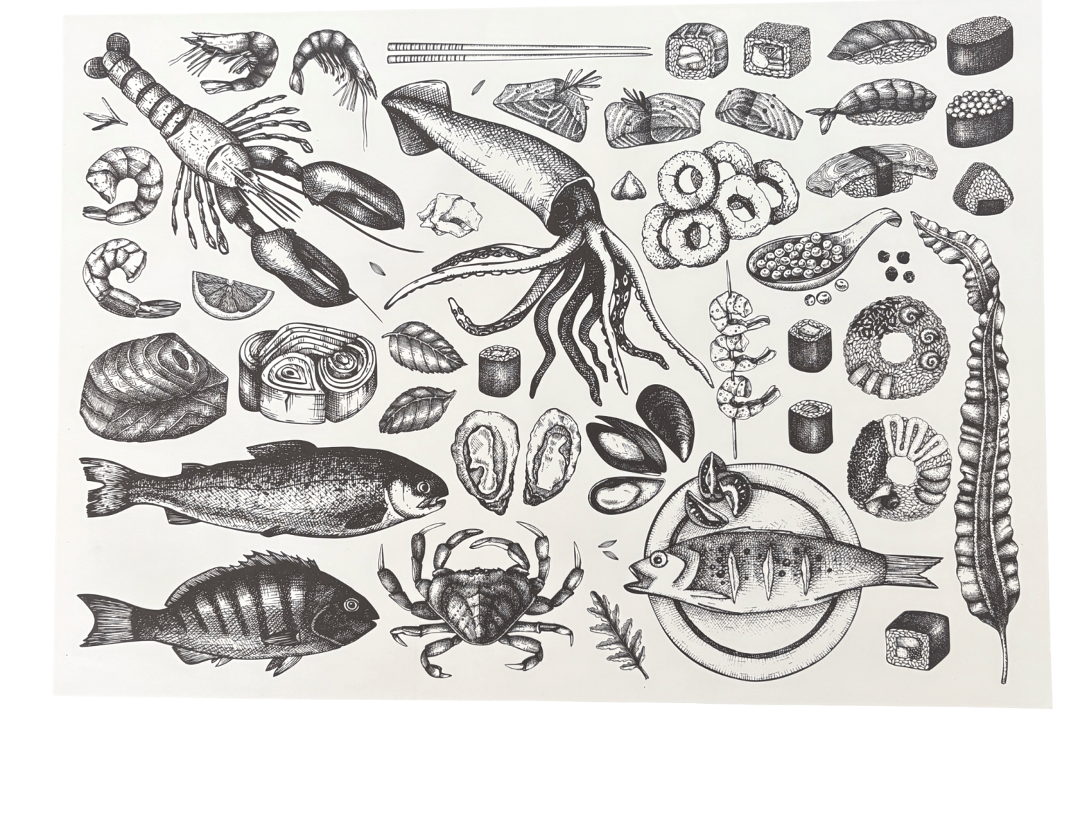 Disposable Placemats - Sea Creatures - The Hideaway