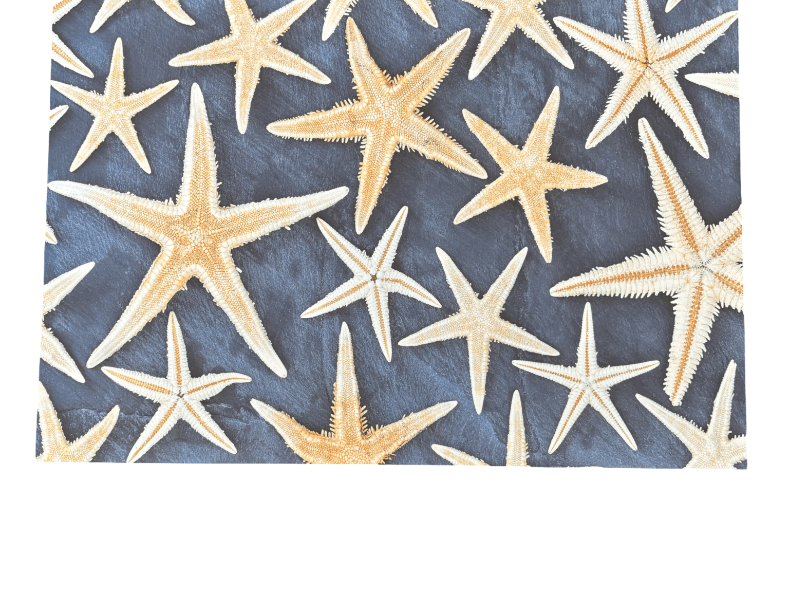 Disposable Placemats - Starfish - The Hideaway