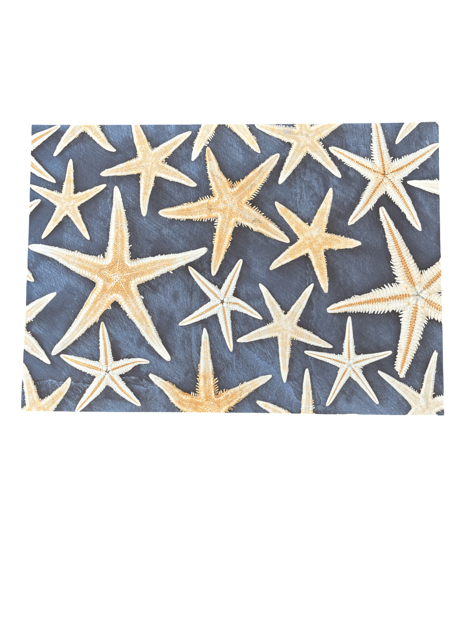 Disposable Placemats - Starfish - The Hideaway